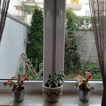 Apartament Di Trevi - Klimatyzacja Διαμέρισμα Βρότσλαβ Εξωτερικό φωτογραφία
